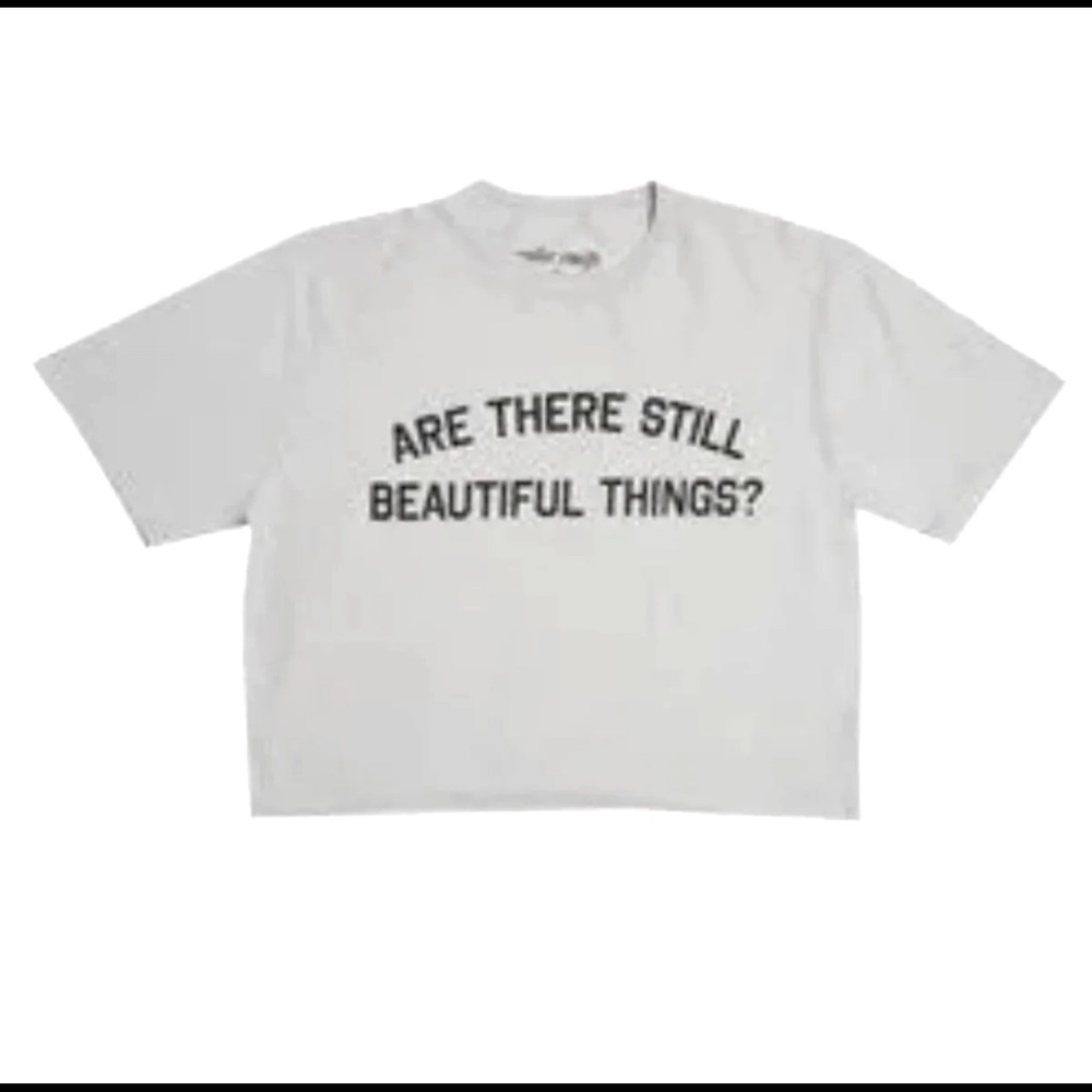 “Are There Still Beautiful Things?” Taylor Shirt